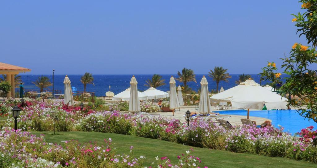 Royal Brayka Beach Resort Abu Dabab Exterior photo